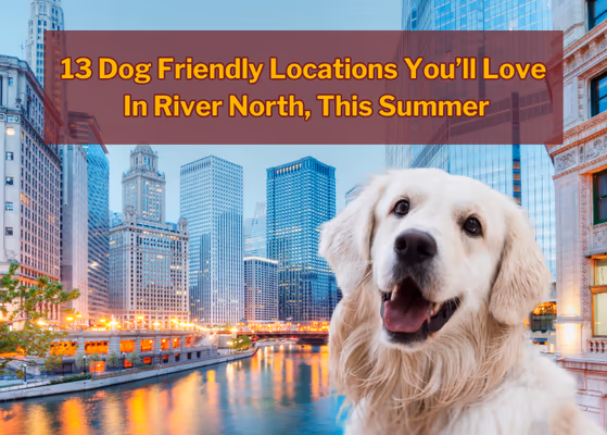 River Dog Friendly Area photo 2